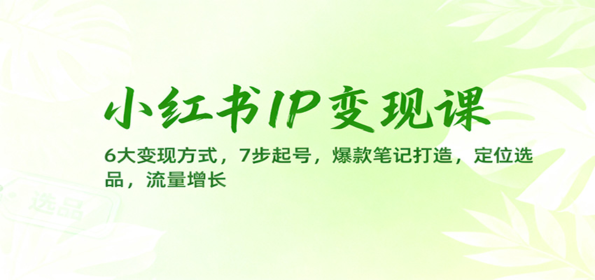 小红书IP变现课：6大变现方式，7步起号，爆款笔记打造，定位选品，流量增长